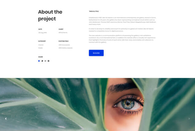 landing-page-single-portfolio-layout-10