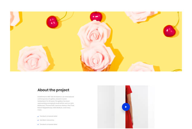 landing-page-single-portfolio-layout-11