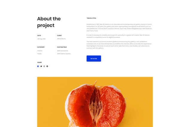 landing-page-single-portfolio-layout-12